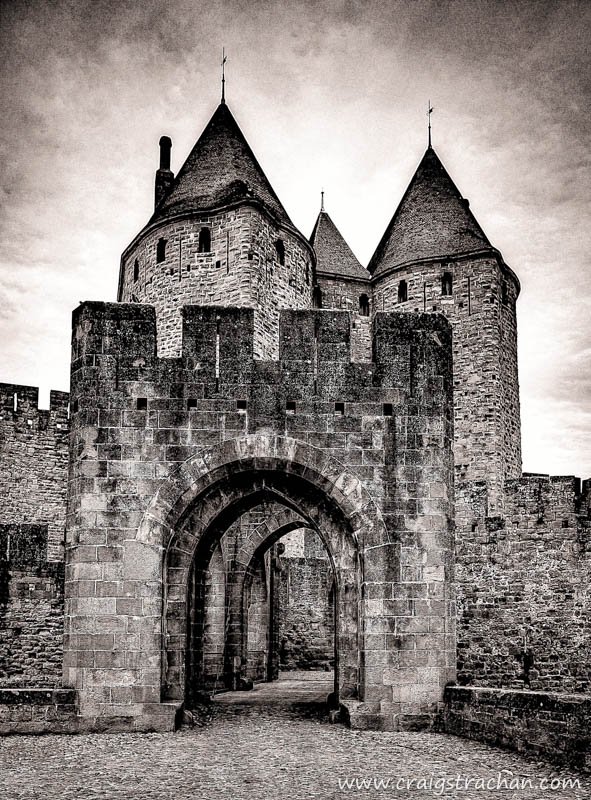 cds-IMG_3206_proc-Edit-2